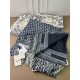 DIOR Dior brand style continues to be popular 2023FW scarf DIOR Dior brand style continues to be popular 2023FW scarf