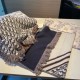 DIOR Check out the latest information on Autumn/Winter Tops 2023FW Scarf DIOR Check out the latest information on Autumn/Winter Tops 2023FW Scarf
