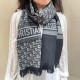 DIOR Fashionable Fall/Winter 2023FW scarf that captivates adults DIOR Fashionable Fall/Winter 2023FW scarf that captivates adults