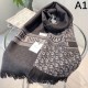 DIOR Fashionable Fall/Winter 2023FW scarf that captivates adults DIOR Fashionable Fall/Winter 2023FW scarf that captivates adults