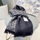 DIOR Fashionable Fall/Winter 2023FW scarf that captivates adults DIOR Fashionable Fall/Winter 2023FW scarf that captivates adults