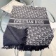 DIOR Fashionable Fall/Winter 2023FW scarf that captivates adults DIOR Fashionable Fall/Winter 2023FW scarf that captivates adults
