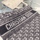 DIOR Fashionable Fall/Winter 2023FW scarf that captivates adults DIOR Fashionable Fall/Winter 2023FW scarf that captivates adults