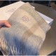 LOEWE Overseas customers limited advance sale 2023FW scarf LOEWE Overseas customers limited advance sale 2023FW scarf