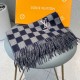 LOUIS VUITTON 2023FW scarf that goes surprisingly well with you LOUIS VUITTON 2023FW scarf that goes surprisingly well with you