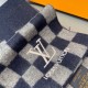 LOUIS VUITTON 2023FW scarf that goes surprisingly well with you LOUIS VUITTON 2023FW scarf that goes surprisingly well with you