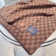LOUIS VUITTON Exquisite look 2023FW scarf LOUIS VUITTON Exquisite look 2023FW scarf