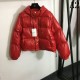 2023FW Down Jacket CELINE Overflowing with a mature impression 2023FW Down Jacket CELINE Overflowing with a mature impression