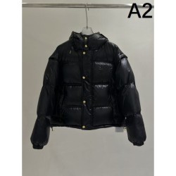 2023FW Down Jacket CELINE Celine has a lot of users