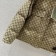 GUCCI Gucci Popular Item 2023FW Down Jacket GUCCI Gucci Popular Item 2023FW Down Jacket