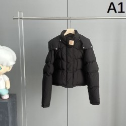 2023FW Down Jacket LOEWE Full of fashion sense