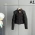 2023FW Down Jacket LOEWE Full of fashion sense