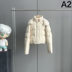 2023FW Down Jacket LOEWE Full of fashion sense