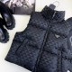 2023FW down jacket PRADA new overseas limited model 2023FW down jacket PRADA new overseas limited model