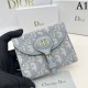 2023SS DIOR Dior Bi-fold wallet you should put in this summer 2023SS DIOR Dior Bi-fold wallet you should put in this summer