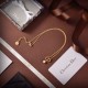 DIOR Dior necklace 2023SS Color perfect for early spring DIOR Dior necklace 2023SS Color perfect for early spring