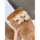 CELINE 2023FW boots that are useful during the change of seasons CELINE 2023FW boots that are useful during the change of seasons