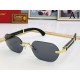 Glasses CARTIER Cartier which aims at the 2023SS fashion senior Glasses CARTIER Cartier which aims at the 2023SS fashion senior