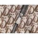 2024FW DIOR Dior An eye-catching style coat this summer 2024FW DIOR Dior An eye-catching style coat this summer