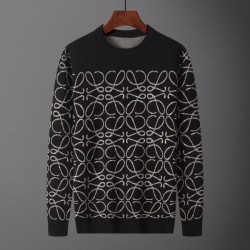 2024SS Enjoy trendy coordination LOEWE Loewe sweater
