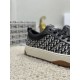 DIOR Dior No.1 Sales Ranking 2024SS Men's Casual Shoes DIOR Dior No.1 Sales Ranking 2024SS Men's Casual Shoes