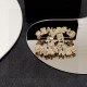 New elegant 2024SS brooch CHANEL New elegant 2024SS brooch CHANEL