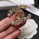 New elegant 2024SS brooch CHANEL New elegant 2024SS brooch CHANEL