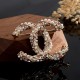 New seasonal item 2024SS brooch CHANEL New seasonal item 2024SS brooch CHANEL