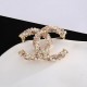 New seasonal item 2024SS brooch CHANEL New seasonal item 2024SS brooch CHANEL