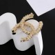 New seasonal item 2024SS brooch CHANEL New seasonal item 2024SS brooch CHANEL