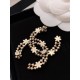 CHANEL Last Spring/Summer Collection 2024SS Brooch CHANEL Last Spring/Summer Collection 2024SS Brooch