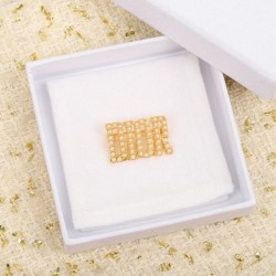 Recommended items needed for spring and summer 2024SS Brooch DIOR