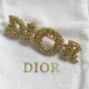 Casual yet highly sensitive 2024SS brooch DIOR Casual yet highly sensitive 2024SS brooch DIOR