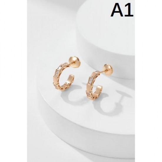Lowest Price Guarantee 2024SS Earrings BOTTEGA VENETA Lowest Price Guarantee 2024SS Earrings BOTTEGA VENETA
