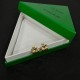 Popular Elegant 2024SS Earrings BOTTEGA VENETA Popular Elegant 2024SS Earrings BOTTEGA VENETA
