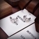 BOTTEGA VENETA Spring color advance 2024SS earrings BOTTEGA VENETA Spring color advance 2024SS earrings
