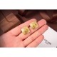 Great value for this season 2024SS earrings CELINE CELINE Great value for this season 2024SS earrings CELINE CELINE