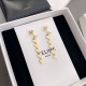 Usable and cute design summer new item 2024SS earrings CELINE Usable and cute design summer new item 2024SS earrings CELINE