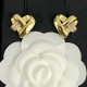 2024SS CELINE Celine earrings A lovely summer staple item 2024SS CELINE Celine earrings A lovely summer staple item