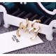 2024SS CELINE Celine earrings spring/summer super popular limited collaboration 2024SS CELINE Celine earrings spring/summer super popular limited collaboration