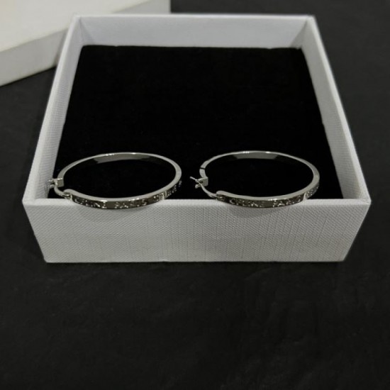 CELINE Celine latest product sure to sell out 2024SS earrings CELINE Celine latest product sure to sell out 2024SS earrings