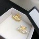 CELINE Celine Popular Sale 100% New 2024SS Earrings CELINE Celine Popular Sale 100% New 2024SS Earrings
