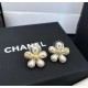 Last Spring/Summer Collection 2024SS Earrings CHANEL CHANEL Last Spring/Summer Collection 2024SS Earrings CHANEL CHANEL