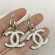 New Limited Very Beautiful Color 2024SS Earrings CHANEL CHANEL New Limited Very Beautiful Color 2024SS Earrings CHANEL CHANEL