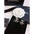 2024SS earrings that have a presence every season CHANEL