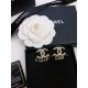 2024SS earrings that have a presence every season CHANEL 2024SS earrings that have a presence every season CHANEL