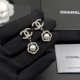 Refreshing spring/summer style 2024SS earrings CHANEL Refreshing spring/summer style 2024SS earrings CHANEL