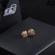 New limited edition 2024SS earrings CHROME HEARTS New limited edition 2024SS earrings CHROME HEARTS