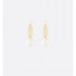 Gift to give 2024SS earrings DIOR Dior
