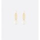 Gift to give 2024SS earrings DIOR Dior Gift to give 2024SS earrings DIOR Dior